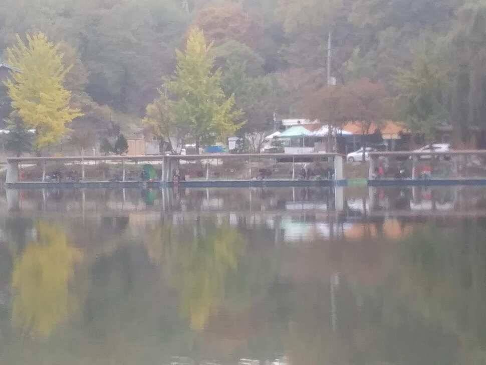 양평 수곡낚시터 자연산 토종붕어 방류 및 주말 조황 안내 (유료터정보 - 유료터점주조황)