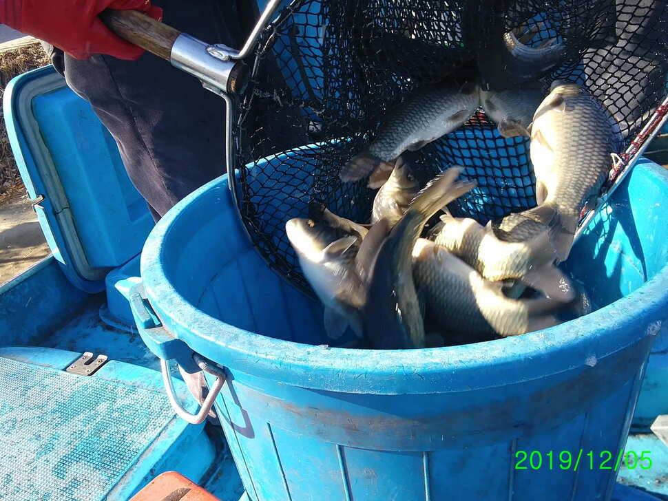 수곡낚시터 오늘은 4짜 붕어도 나오네요 붕어조황이 꾸준하게 나와줍니다 (유료터정보 - 유료터점주조황)