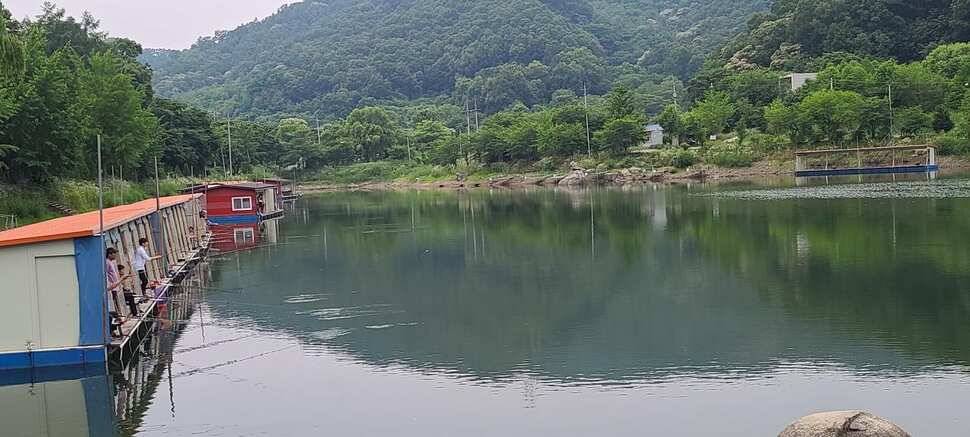 양평낚시터 힐링 수곡낚시터 수목요일 주중 조황도 고르게 나와주고 있습니다 (유료터정보 - 유료터점주조황)