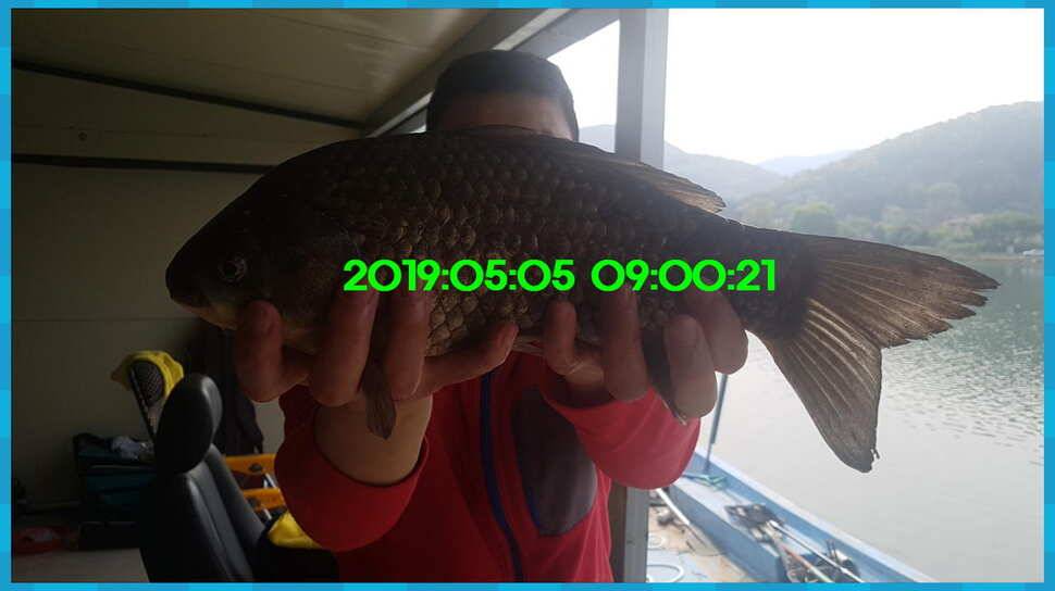신원낚시터 토종대물 4짜가 풍년입니다풍년 (유료터정보 - 유료터점주조황)