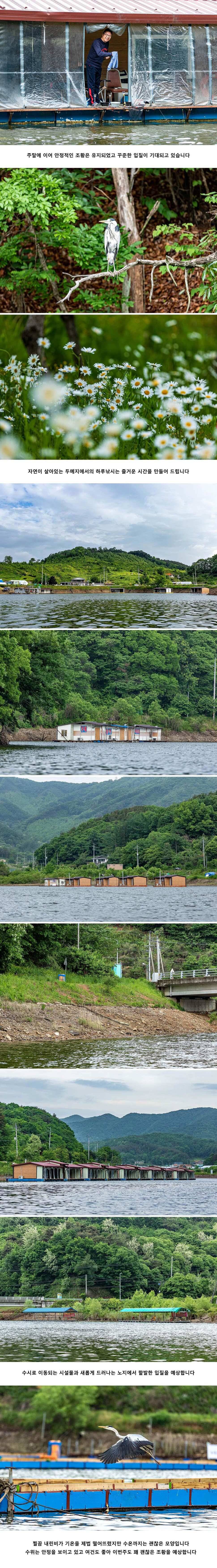 안성 두메낚시터 5월 20일 조황정보 (유료터정보 - 유료터점주조황)