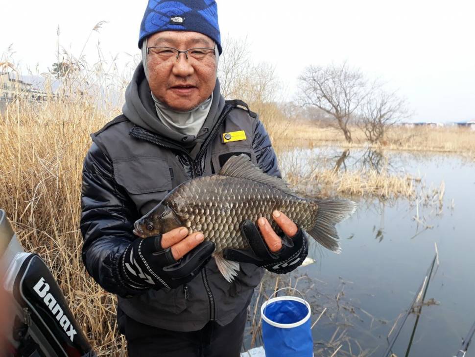 아산 안골지 조황정보 입니다 (유료터정보 - 유료터점주조황)