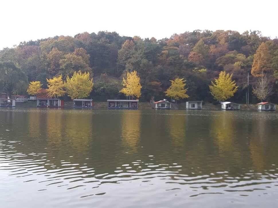 수곡낚시터 금일 자연산 토종붕어 초대량 방류 및 435 토종대물 포함 조황 소식 (유료터정보 - 유료터점주조황)