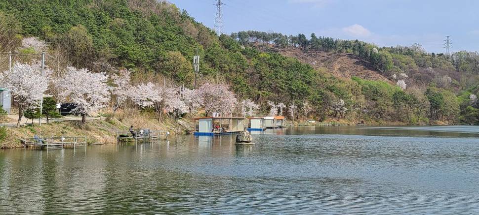 4월둘째주 양평 힐링 수곡낚시터 조황 붕어방류 (유료터정보 - 유료터점주조황)