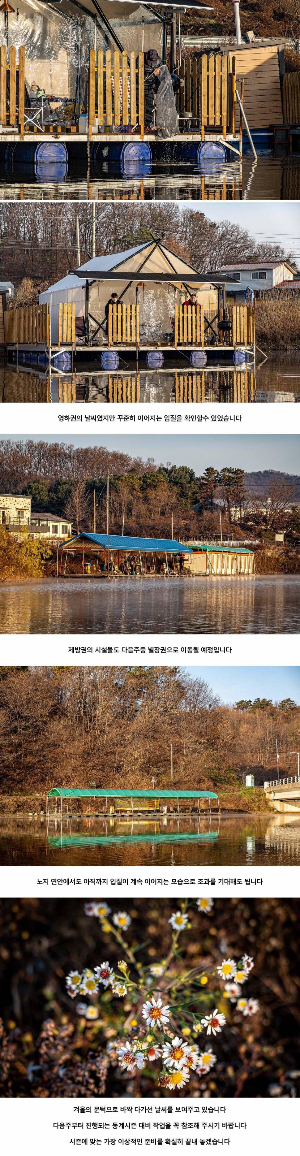 안성 두메낚시터 11월 21일 조황정보 (유료터정보 - 유료터점주조황)