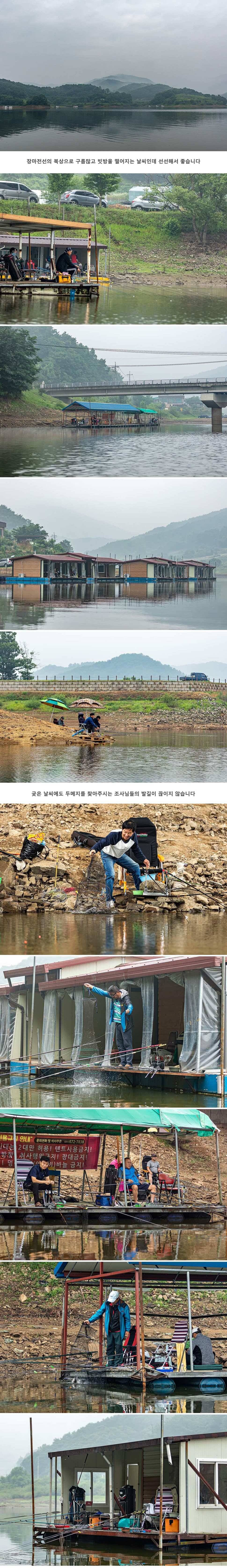 안성 두메낚시터 6월 29일 조황정보 (유료터정보 - 유료터점주조황)
