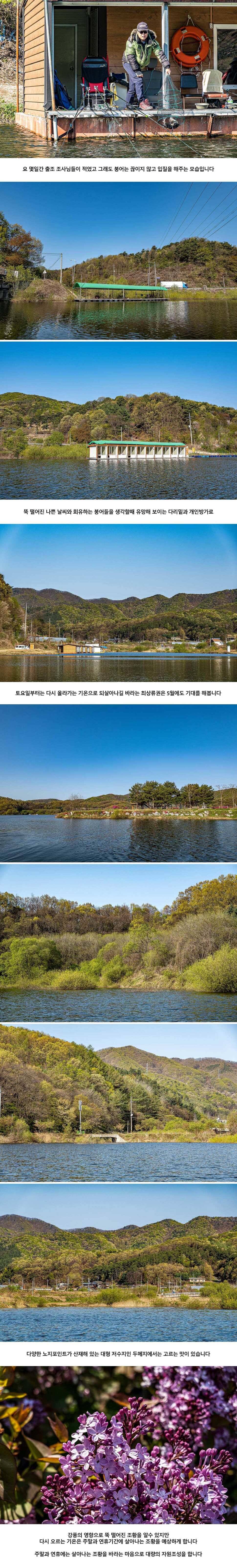 안성 두메낚시터 4월 24일 조황정보 (유료터정보 - 유료터점주조황)