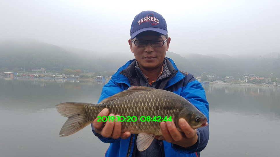 신원낚시터 10월21일 토종 49센티 붕어 구경하시고 가시겠습니다 (유료터정보 - 유료터점주조황)