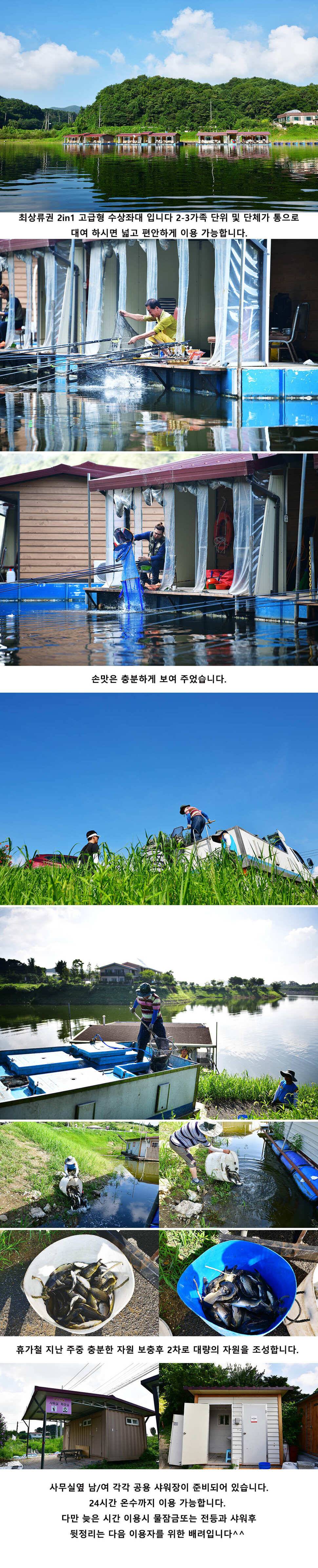 안성 두메낚시터 8월2일 조황안내 (유료터정보 - 유료터점주조황)