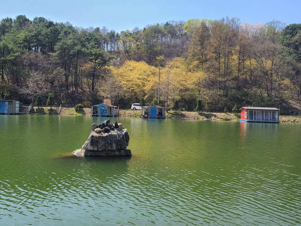 힐링 양평 수곡낚시터 4짜 대물붕어 포함 주중조황 및 붕어방류 안내 (유료터정보 - 유료터점주조황)