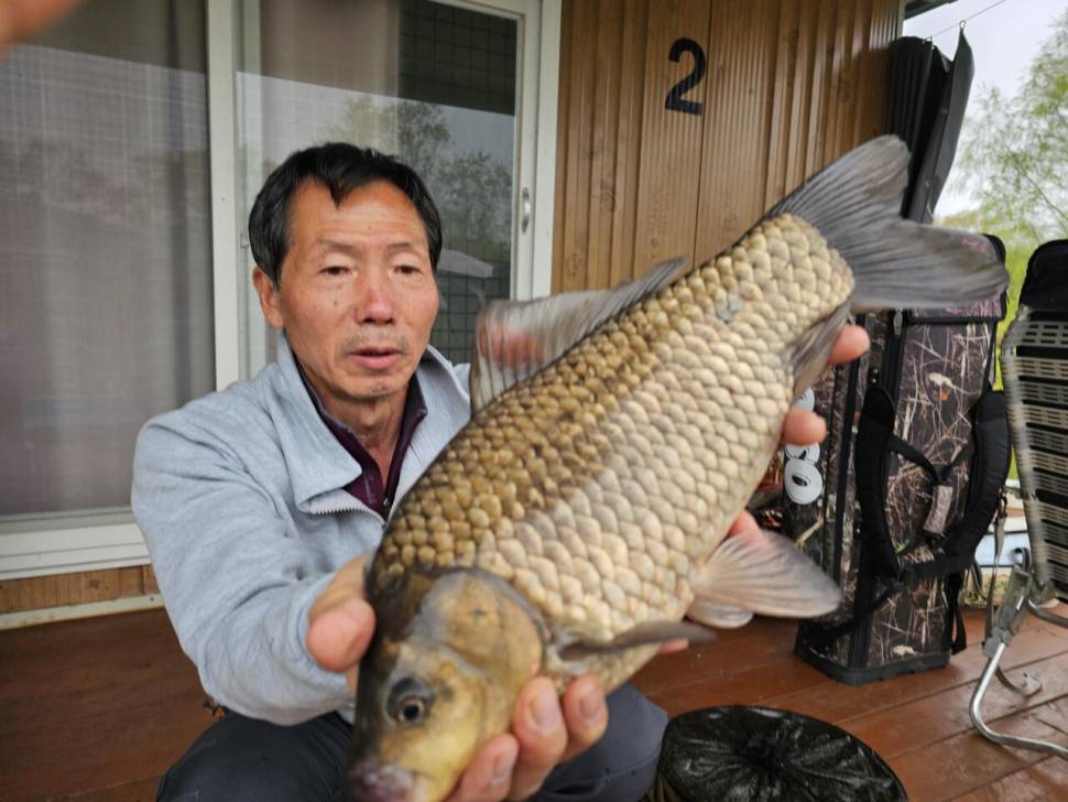 오산집 평일 사짜 붕어 (유료터정보 - 유료터점주조황)