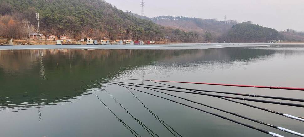 겨울붕어 물낚시 수곡낚시터 2월첫주 주후반주말 조황 및 붕어방류 (유료터정보 - 유료터점주조황)