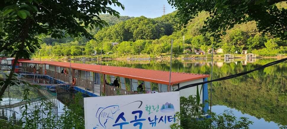 수곡낚시터 어제조황도 씨알고 마릿수가 좀더 늘어나고 있습니다 (유료터정보 - 유료터점주조황)