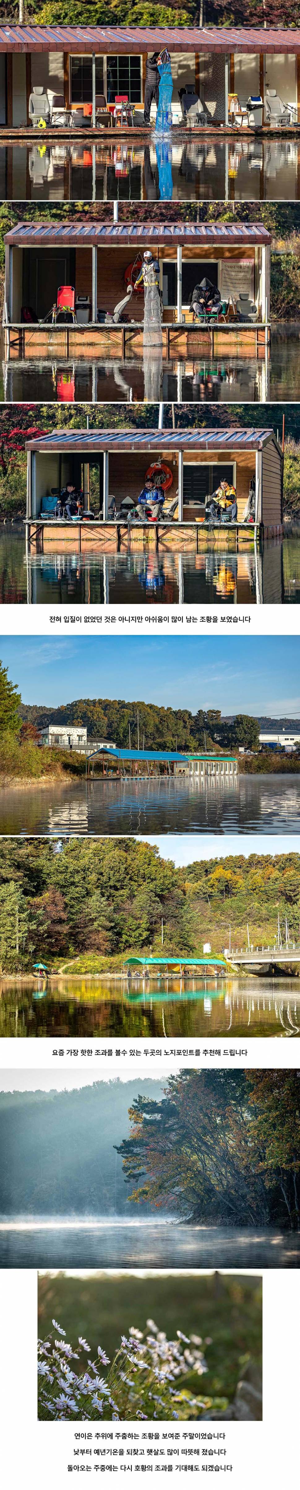 안성 두메낚시터 10월 25일 조황정보 (유료터정보 - 유료터점주조황)