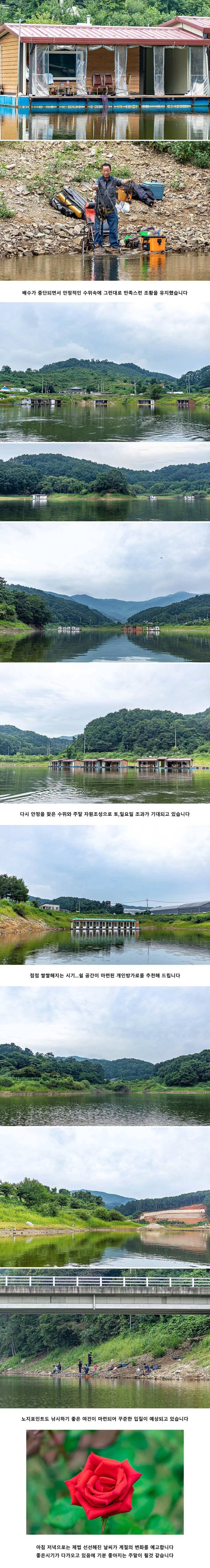 안성 두메낚시터 8월 24일 조황정보 (유료터정보 - 유료터점주조황)