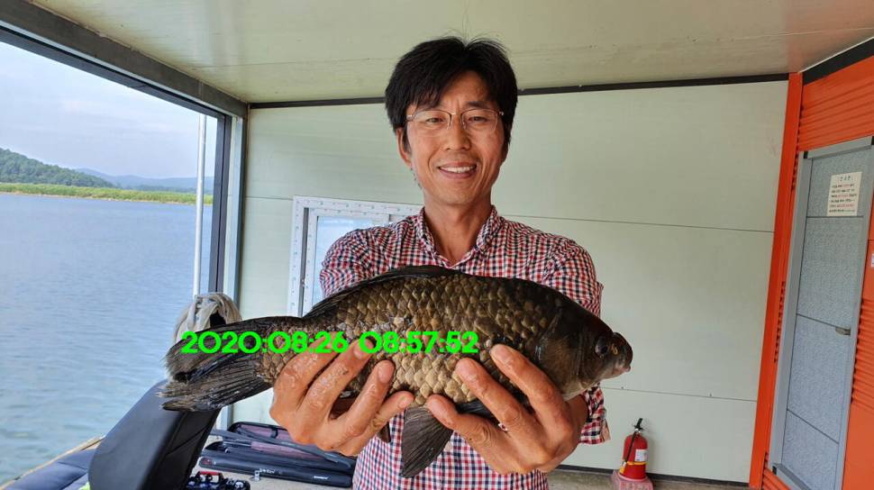 신원낚시터 8월27일 토종붕어 45짜리와 덩어리들 사진입니다 (유료터정보 - 유료터점주조황)