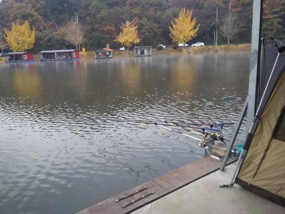 수곡낚시터 주말 조황 소식 및 붕어 방류 안내드려요 (유료터정보 - 유료터점주조황)