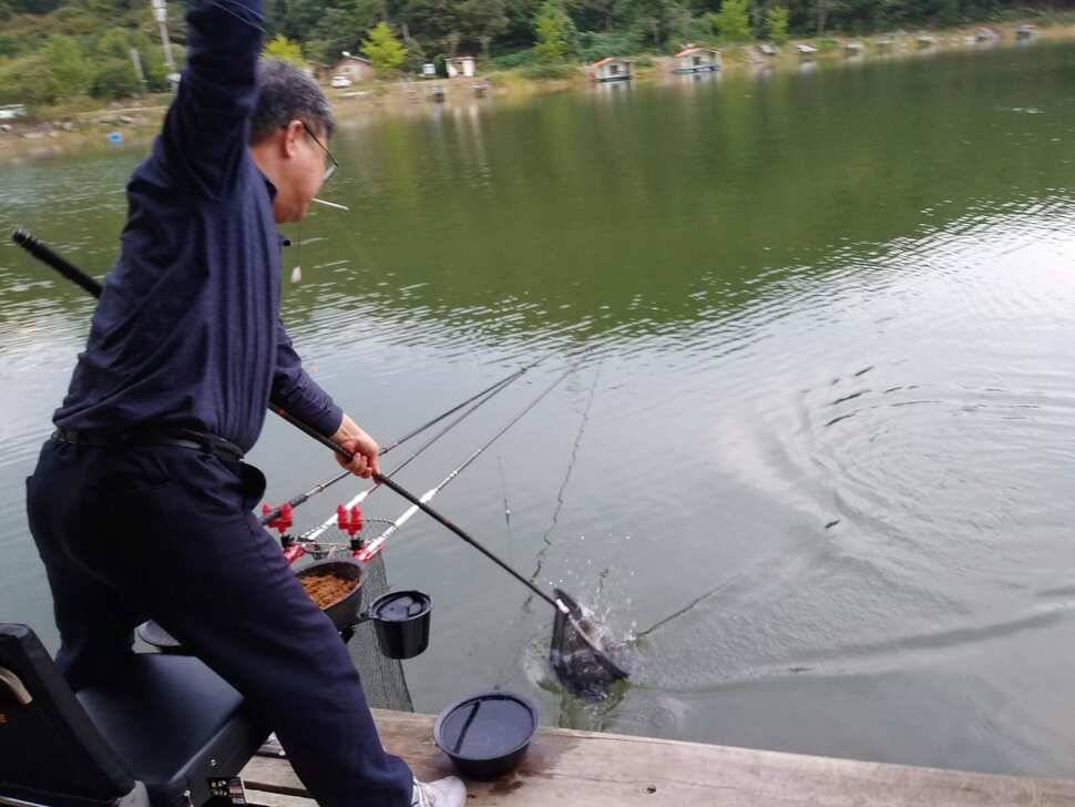 양평 수곡낚시터 9월28 오늘도 고르게 좋은 조황이 이어지고 있네요 오늘 붕어방류 완료하였습니다 (유료터정보 - 유료터점주조황)