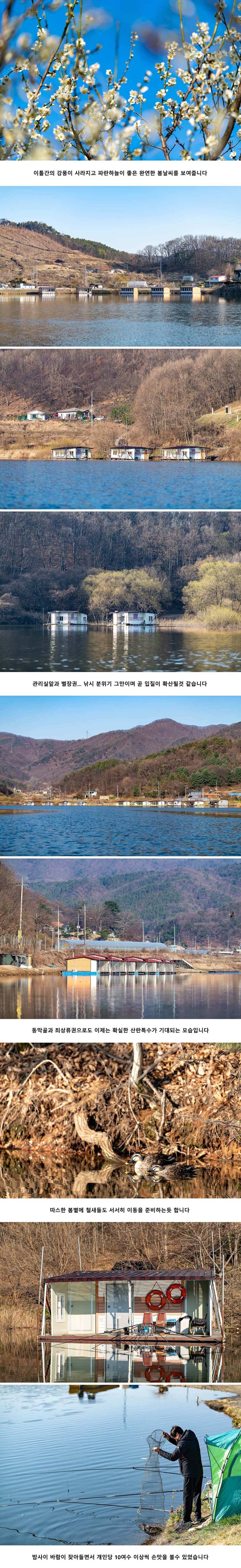 안성 두메낚시터 4월 2일 조황정보 (유료터정보 - 유료터점주조황)