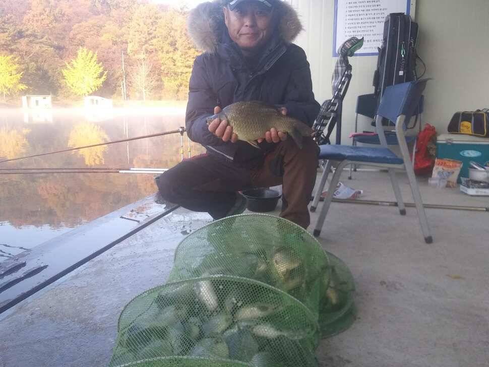 양평 붕어낚시터 수곡낚시터 입도에 더 좋은 조황이 나와주네요 (유료터정보 - 유료터점주조황)