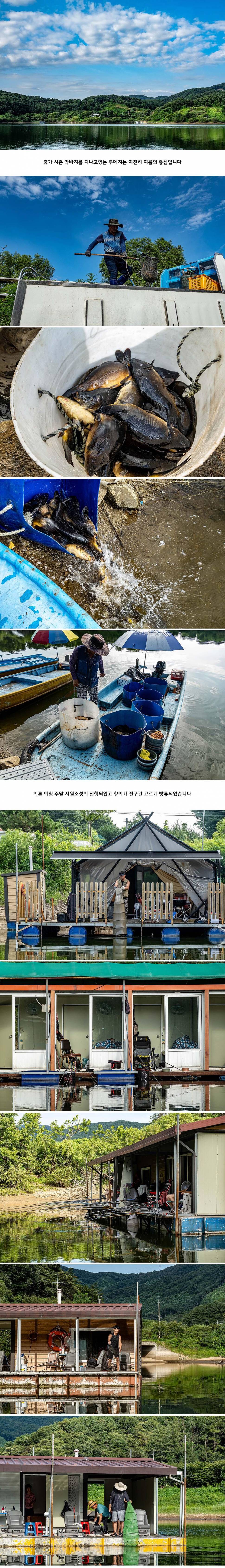 안성 두메낚시터 8월 17일 조황정보 (유료터정보 - 유료터점주조황)