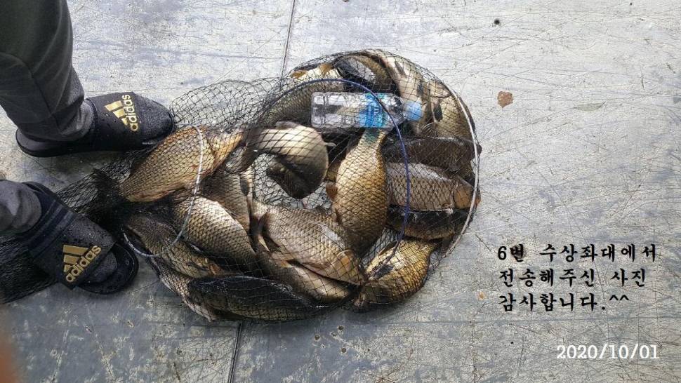 아산신수지 10월 첫 주중 화보입니다 (유료터정보 - 유료터점주조황)