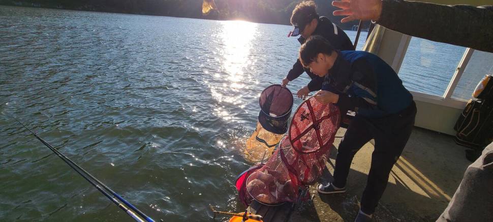 양평 힐링 수곡낚시터 화수요일 주중 조황 및 붕어 방류 (유료터정보 - 유료터점주조황)