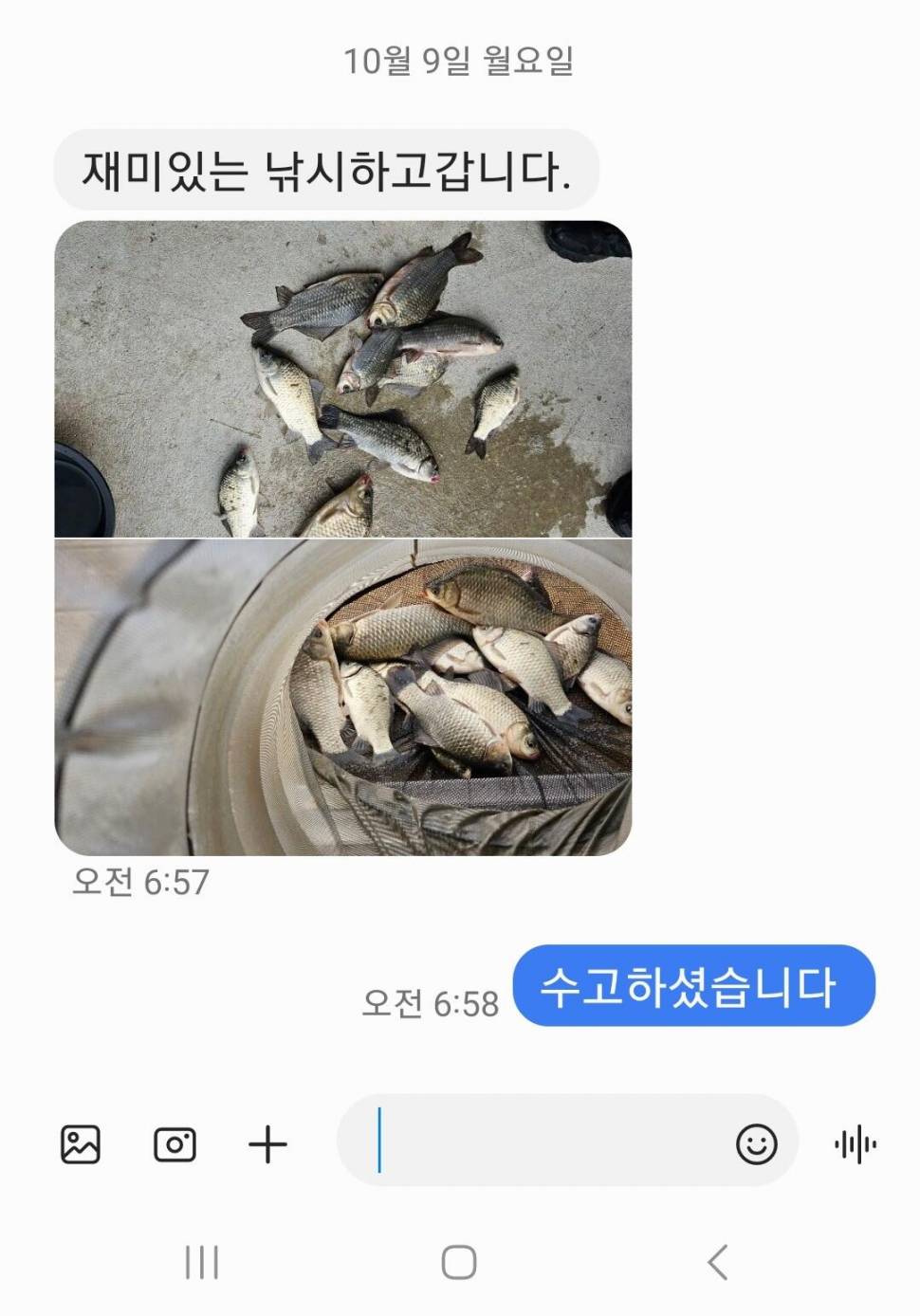 2023년 10월 둘째주 조황정보 용담낚시터사암지 (유료터정보 - 유료터점주조황)