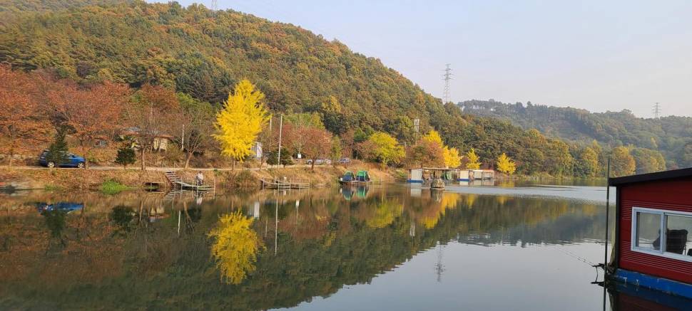 힐링양평 가을 수곡낚시터 월화요일 주초 조황 오늘 붕어방류 (유료터정보 - 유료터점주조황)