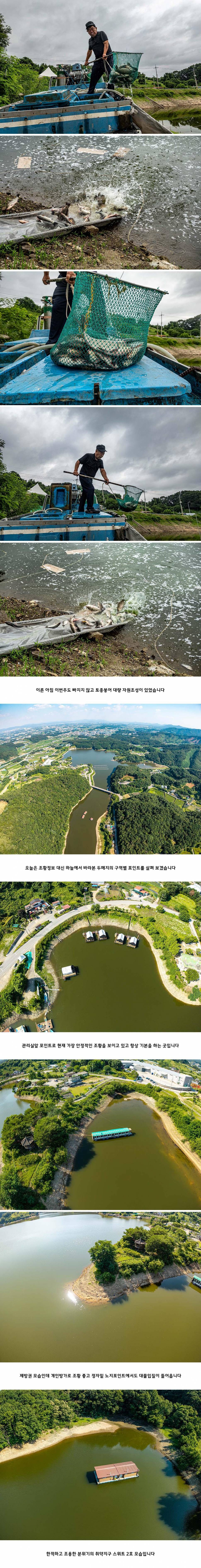 안성 두메낚시터 7월 2일 조황정보 (유료터정보 - 유료터점주조황)