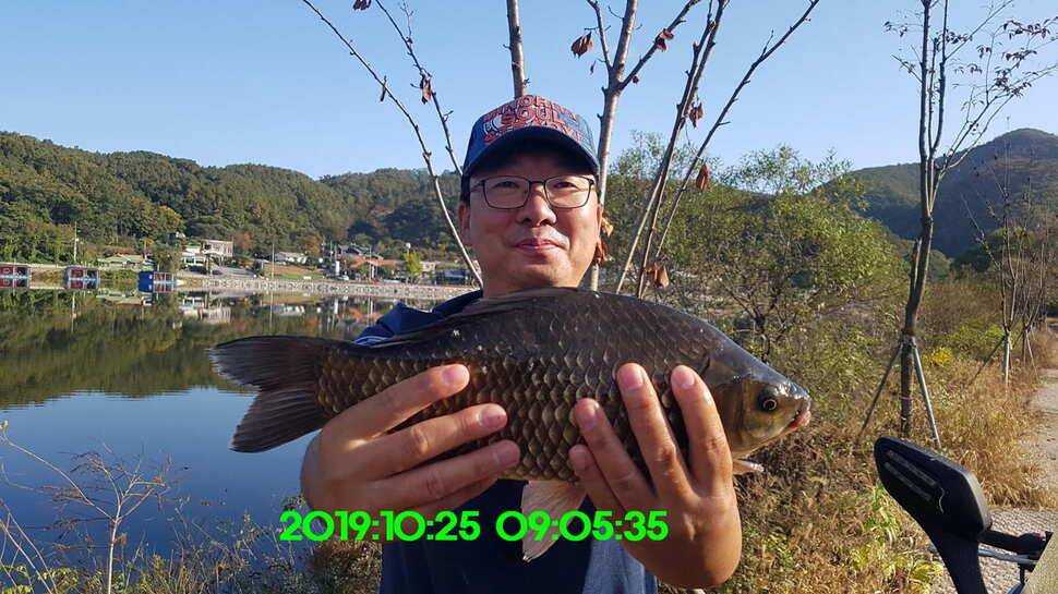 신원낚시터 10월29일 또다시 토종 49센티가 등장 했습니다 (유료터정보 - 유료터점주조황)
