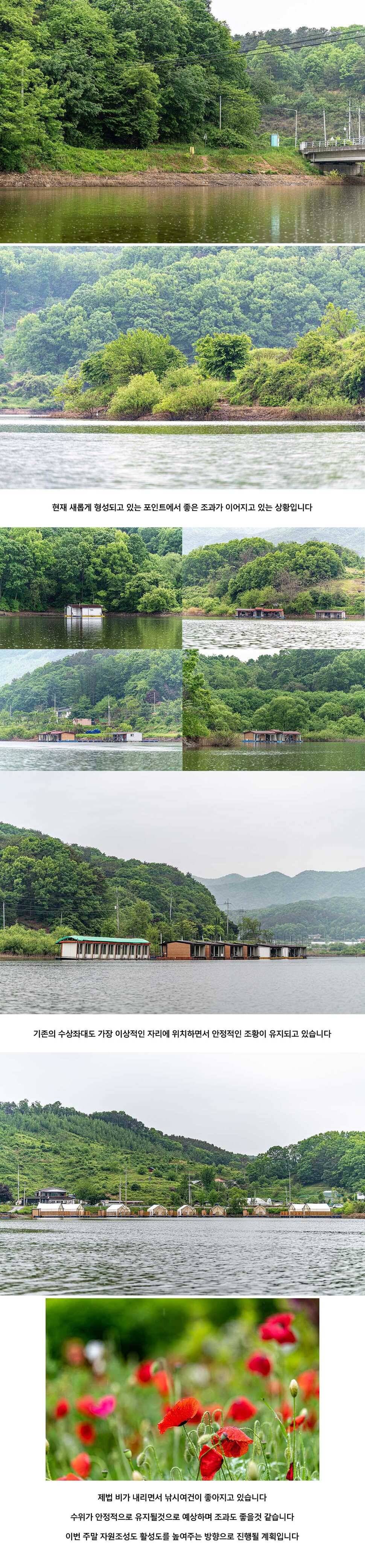 안성 두메낚시터 5월 15일 조황정보 (유료터정보 - 유료터점주조황)