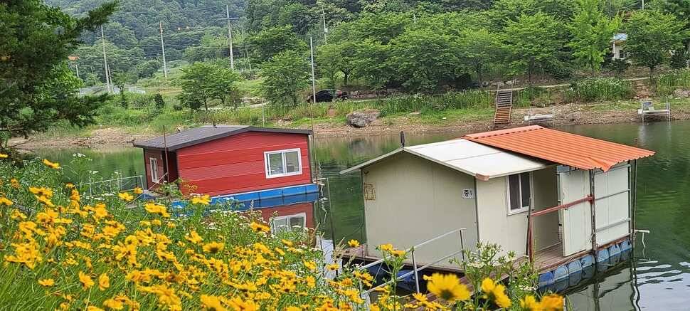양평 지평 수곡낚시터 붕어100수 와 함게 조황이 꾸준합니다 (유료터정보 - 유료터점주조황)