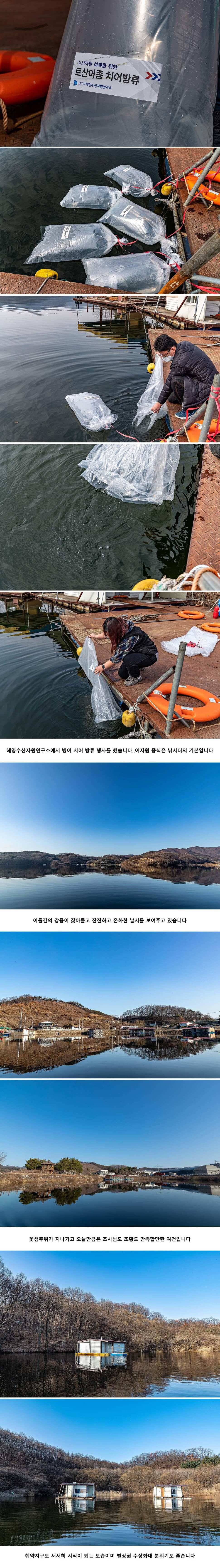안성 두메낚시터 3월 12일 조황정보 (유료터정보 - 유료터점주조황)
