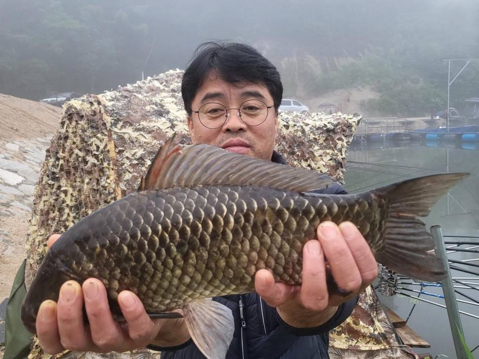 붕어 방류소식과 조황정보 전해드립니다 (유료터정보 - 유료터점주조황)