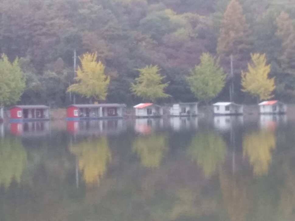 붕어낚시 양평 수곡낚시터 어제조황도 고르게 잘 나와주었습니다 (유료터정보 - 유료터점주조황)