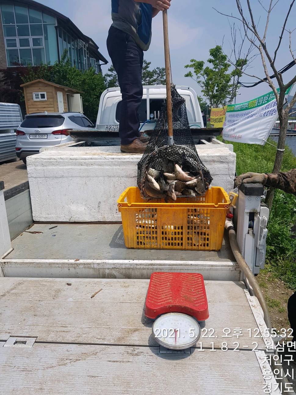 2021년 05월 넷째주 조황정보 용인 용담낚시터사암지 (유료터정보 - 유료터점주조황)