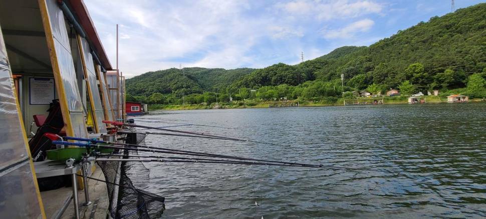 양평 여름 피서낚시 힐링 수곡낚시터 주말도 좋은조황 이어집니다 (유료터정보 - 유료터점주조황)