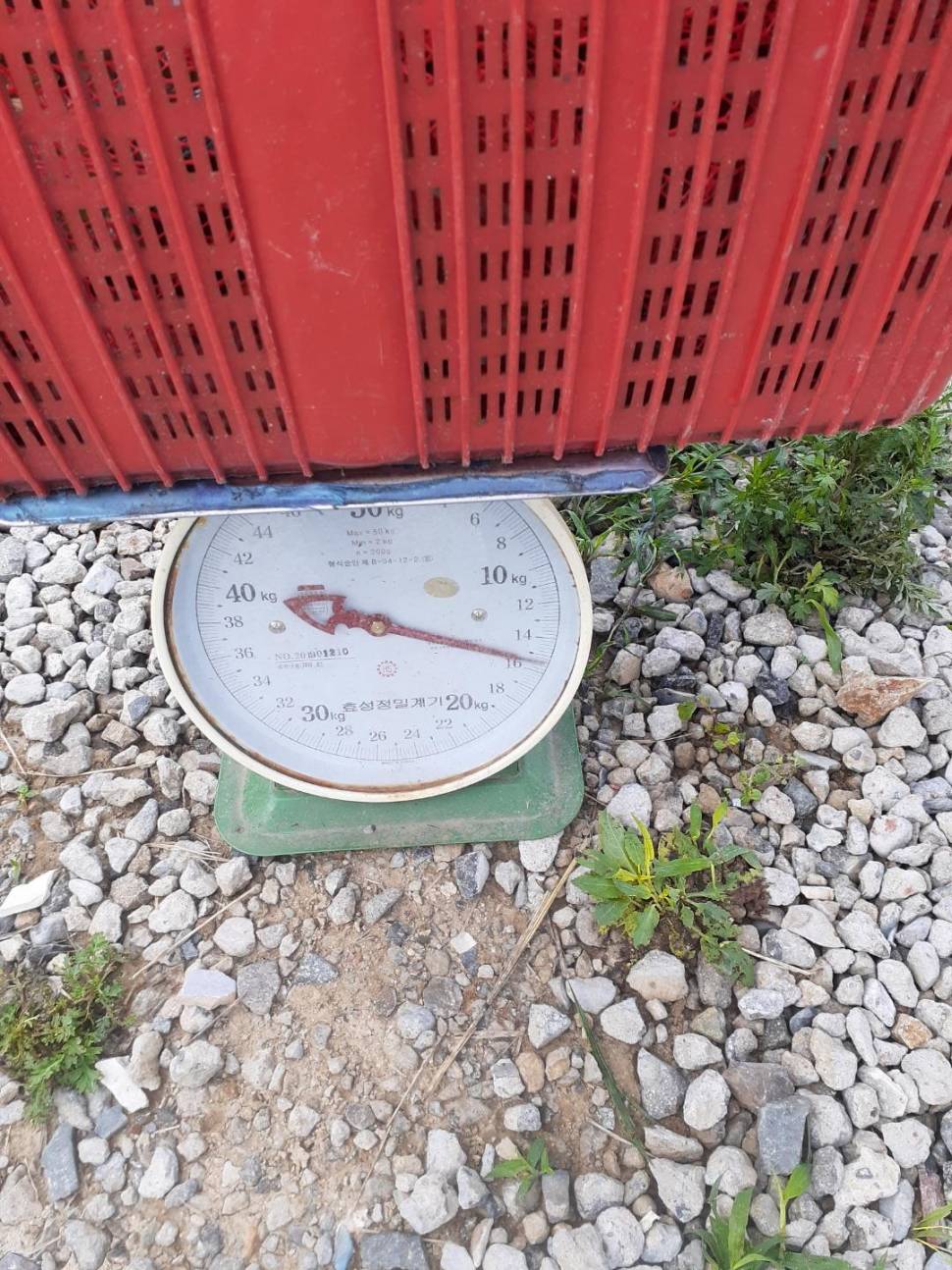 경주 동산낚시터붕어 전용잡이터 지난주 조황 (유료터정보 - 유료터점주조황)