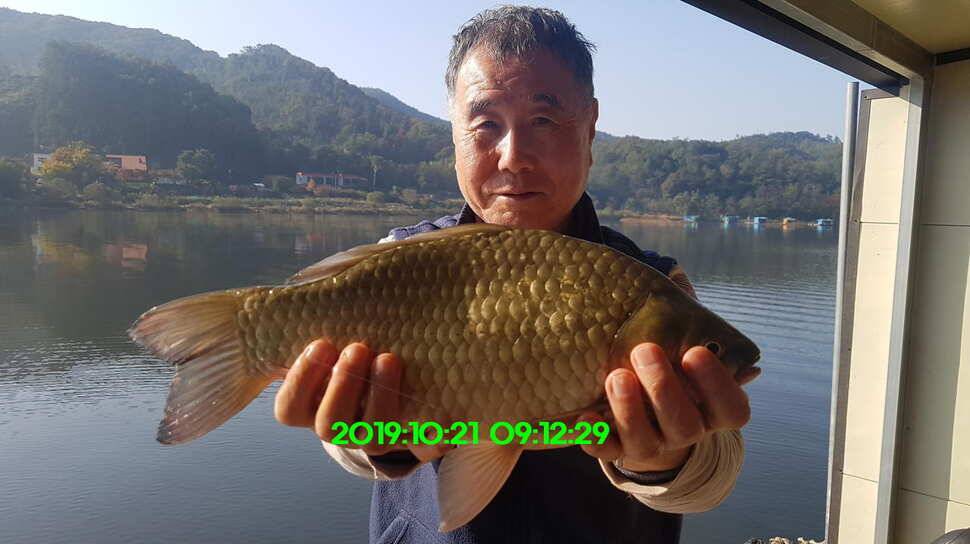 신원낚시터 토종48짜리가 또다시 나와주네요 (유료터정보 - 유료터점주조황)