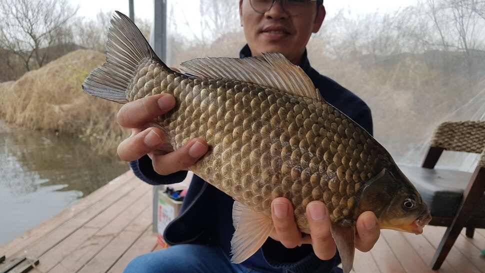 송전지 오산집 평일 조황 (유료터정보 - 유료터점주조황)
