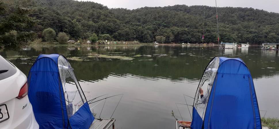 추석연휴 잘보내셨죠 (유료터정보 - 유료터점주조황)