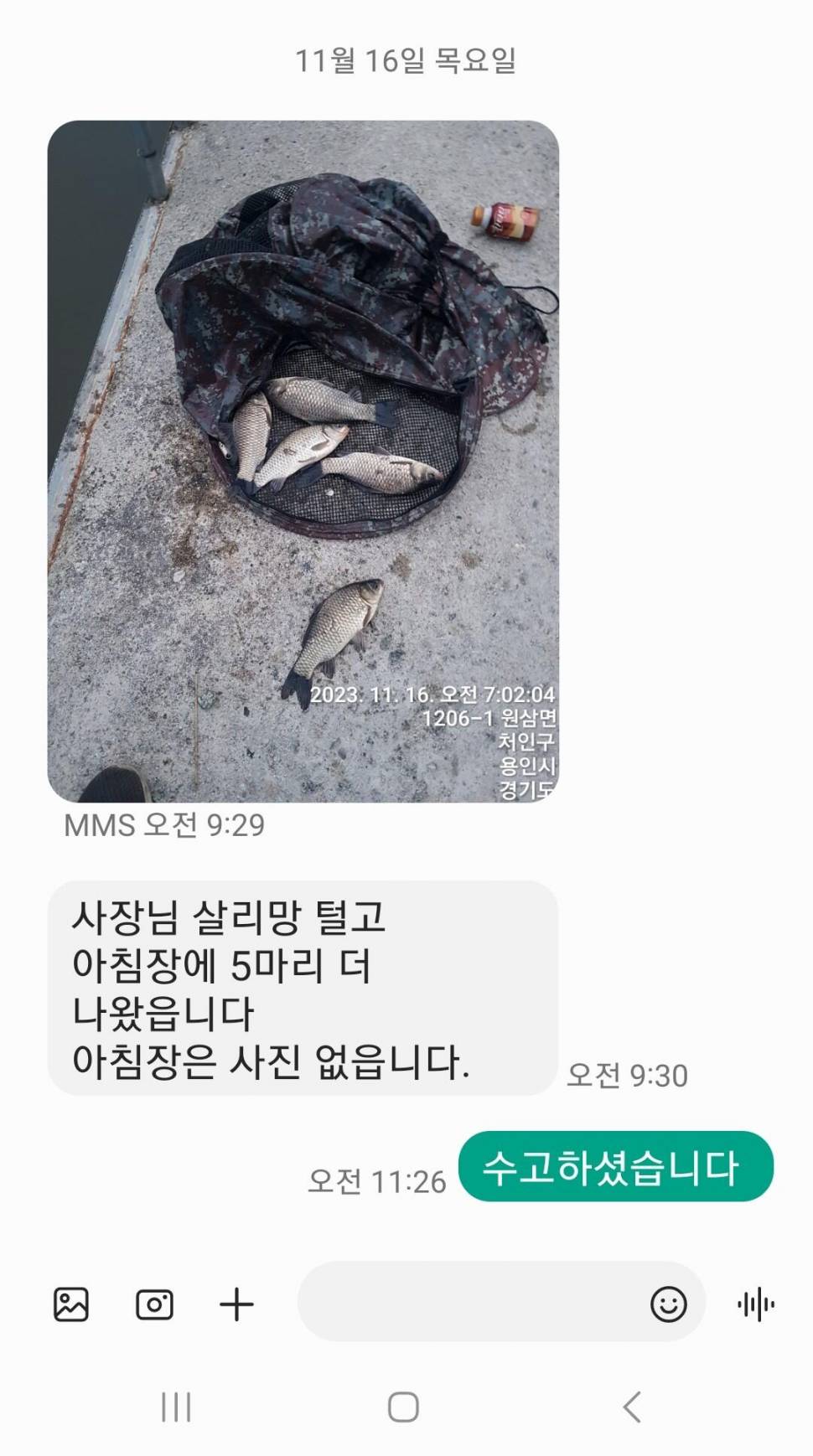 2023년 11월 셋째주 조황정보 용담낚시터사암지 (유료터정보 - 유료터점주조황)