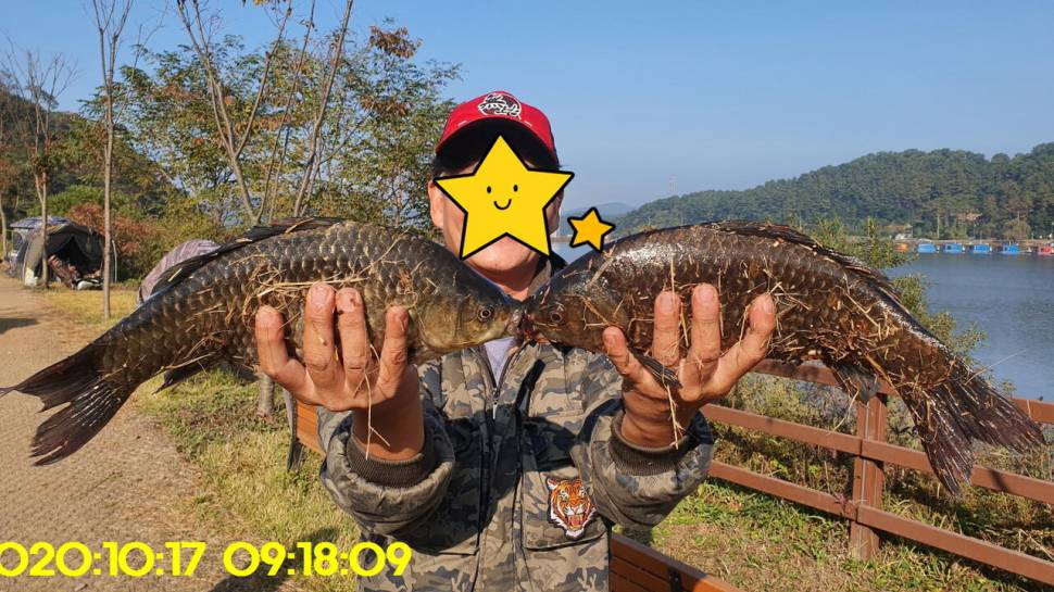 신원낚시터10월20일 토종붕어 4짜와 덩어리들 사진입니다 (유료터정보 - 유료터점주조황)