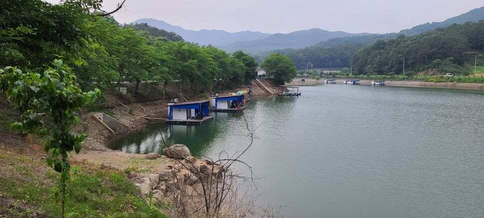 공주 고성낚시터 입니다 (유료터정보 - 유료터점주조황)