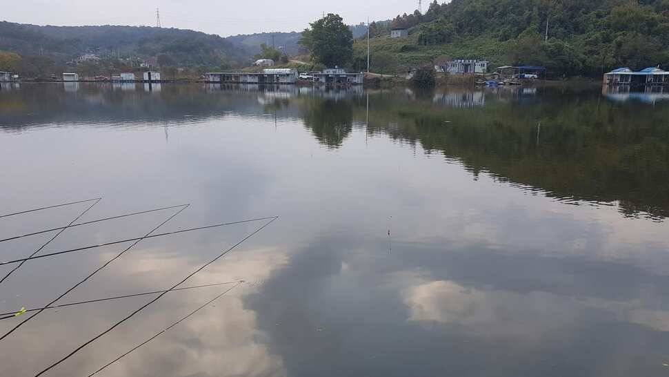당진 가교리 낚시터 11월 9일 조황입니다 (유료터정보 - 유료터점주조황)