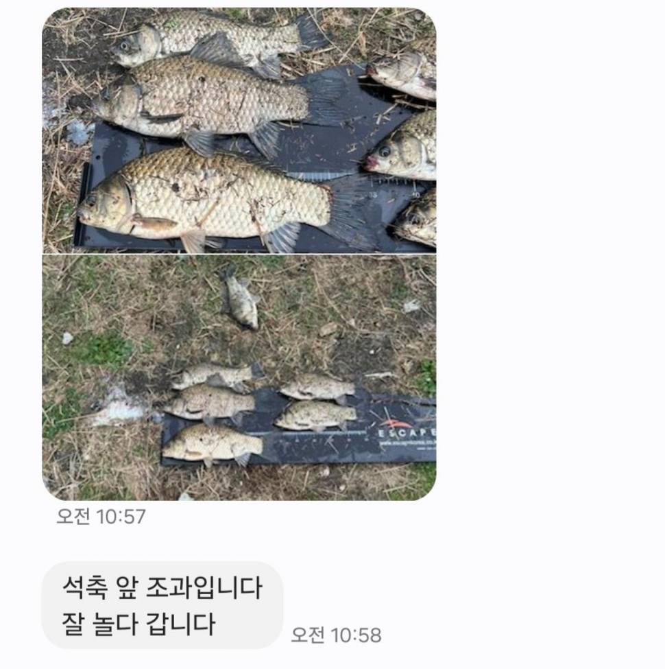2024년 10월 마지막주 조황정보 용담낚시터사암지사짜 2마리 (유료터정보 - 유료터점주조황)