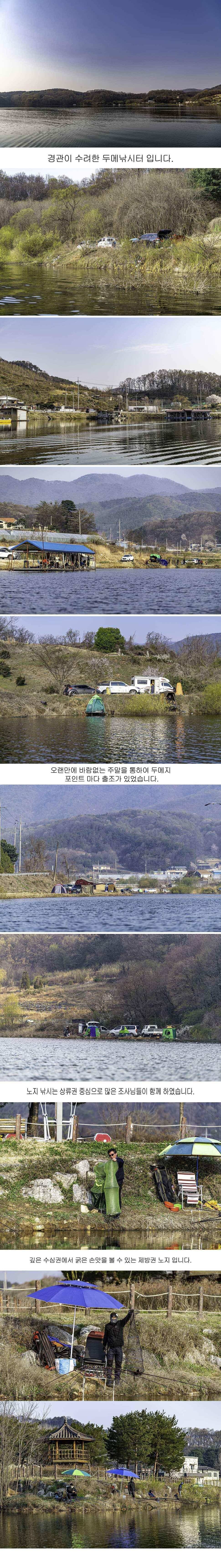 안성 두메낚시터 4월12일 조황안내 (유료터정보 - 유료터점주조황)