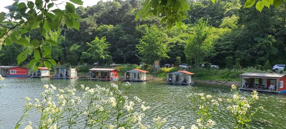 양평 힐링 수곡지 수곡낚시터 일요일 조황도 괜찬았습니다 (유료터정보 - 유료터점주조황)