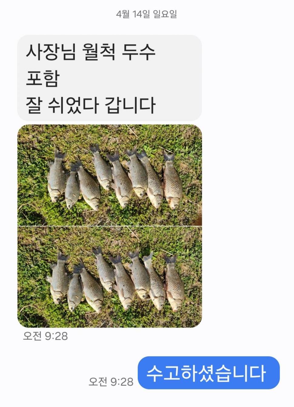 2024년 04월 셋째주 조황정보 용담낚시터사암지 4짜 5마리 (유료터정보 - 유료터점주조황)